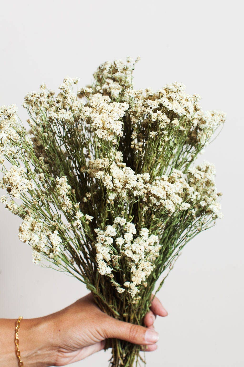 Dried Pearl Achillea