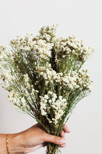 Dried Pearl Achillea