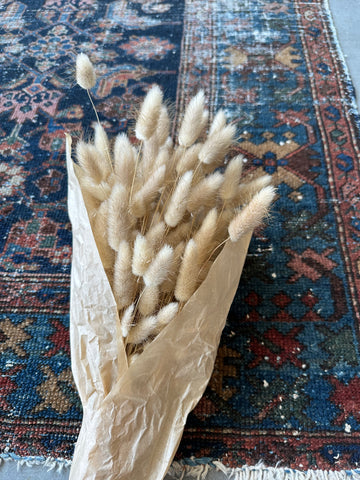 Preserved Bunny Tail