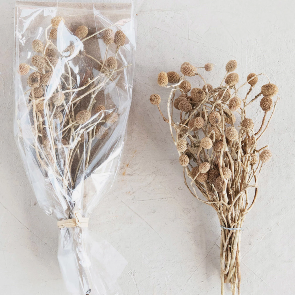 Dried Bora Florals