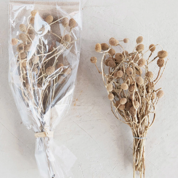 Dried Bora Florals