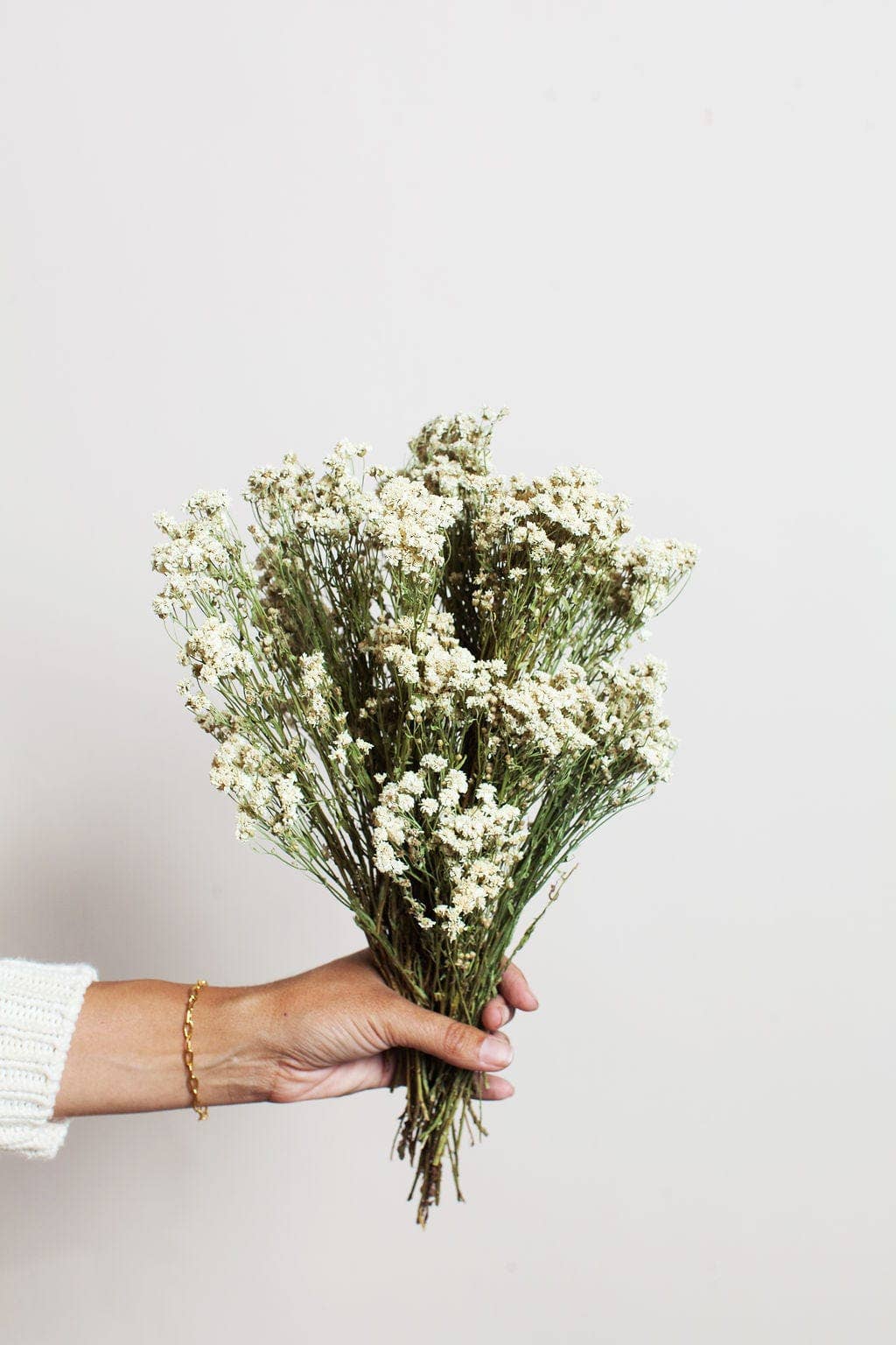 Dried Pearl Achillea