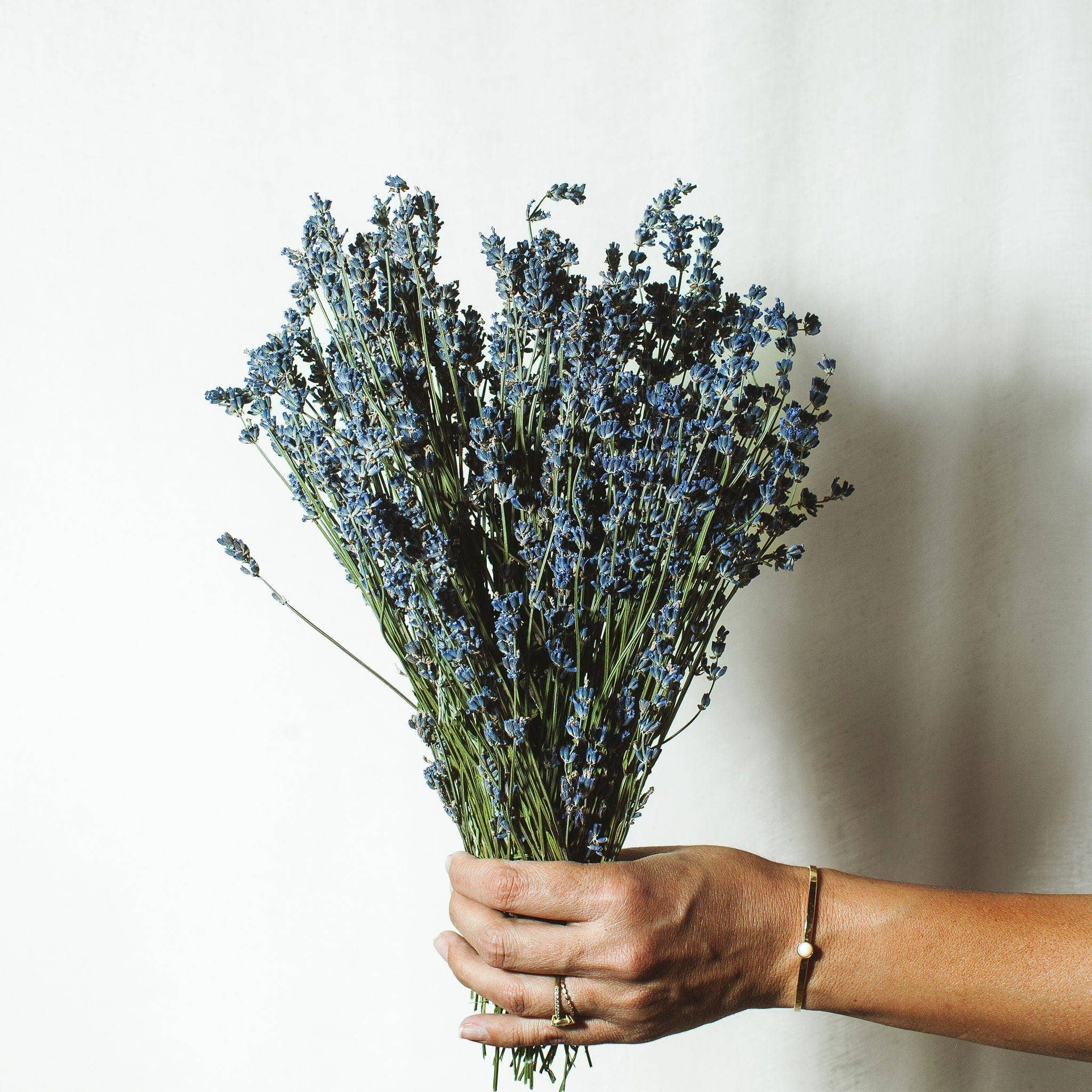 Dried Lavender