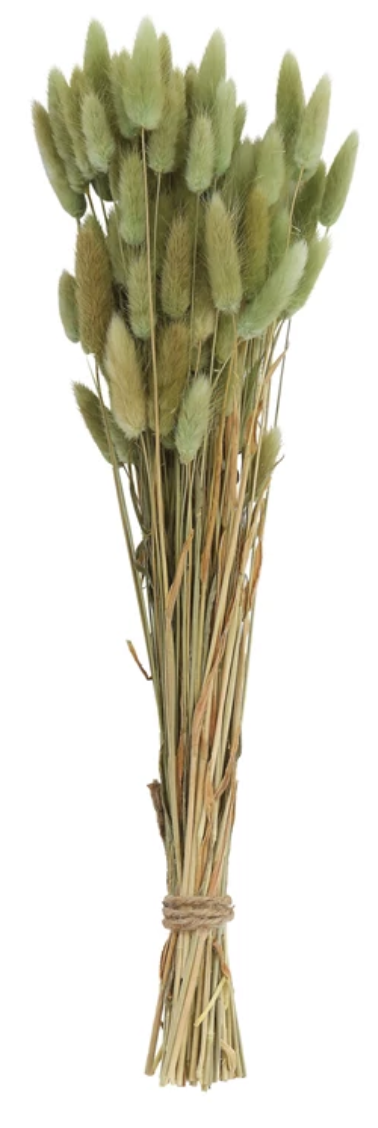 Green Dried Natural Bunny Grass